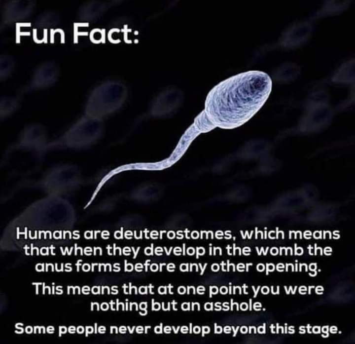 Pro-Life vs Pro-Choice