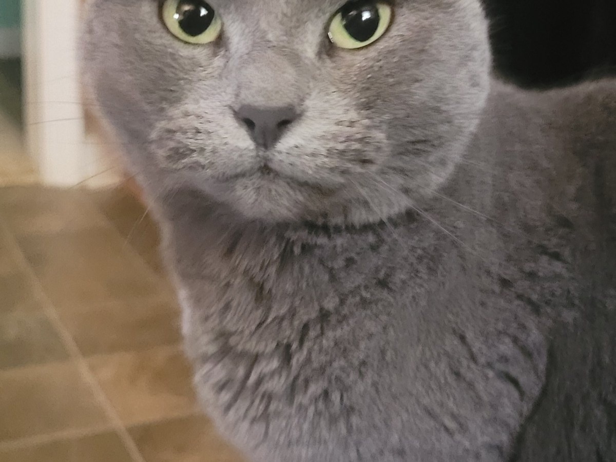 Strangers: It Was Never Ours&nbsp;(Poem)