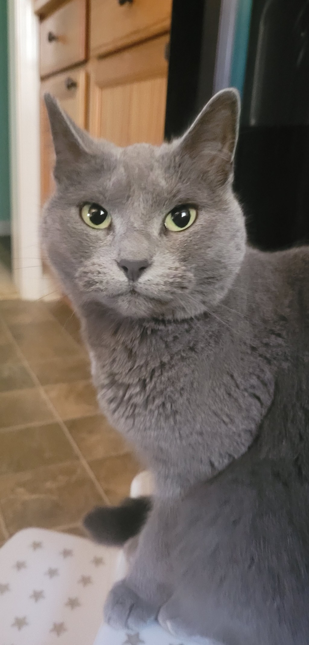 Strangers: It Was Never Ours&nbsp;(Poem)